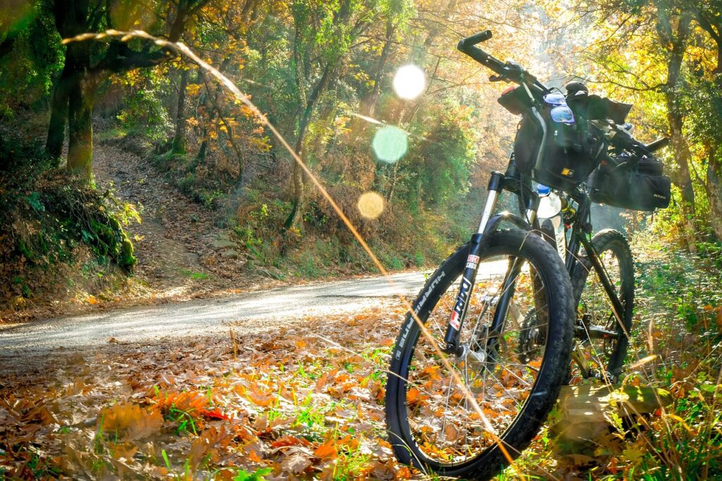 cycling, trek, woods, nature, landscape, hellas, green, road, mountain bike, journey, autumn, mountain bike, mountain bike, mountain bike, mountain bike, mountain bike